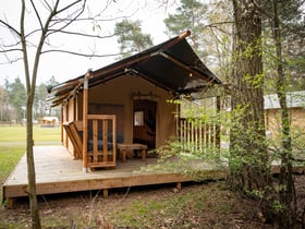 Casa nella natura a Elspeet