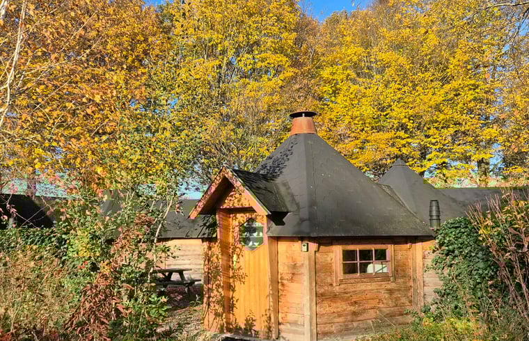 Natuurhuisje in Holthees