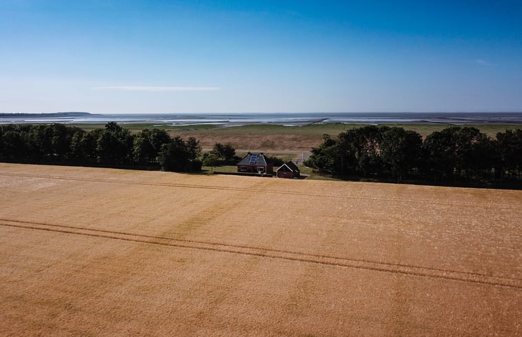 Natuurhuisje in Hornhuizen