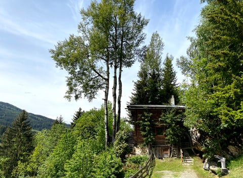 Nature house in Grossarl: 5