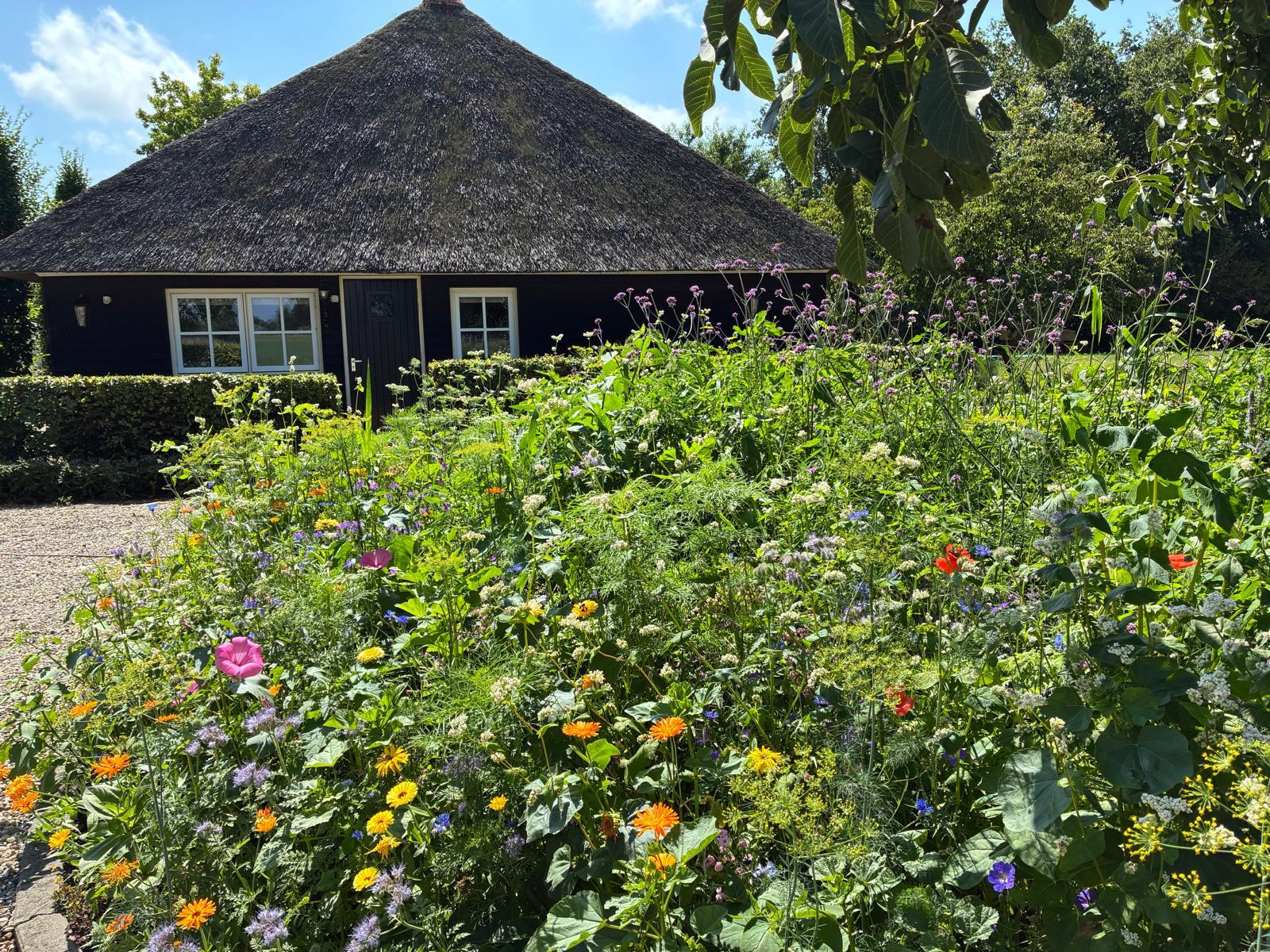 Nature house in Dalfsen