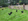 Maison nature à Linde