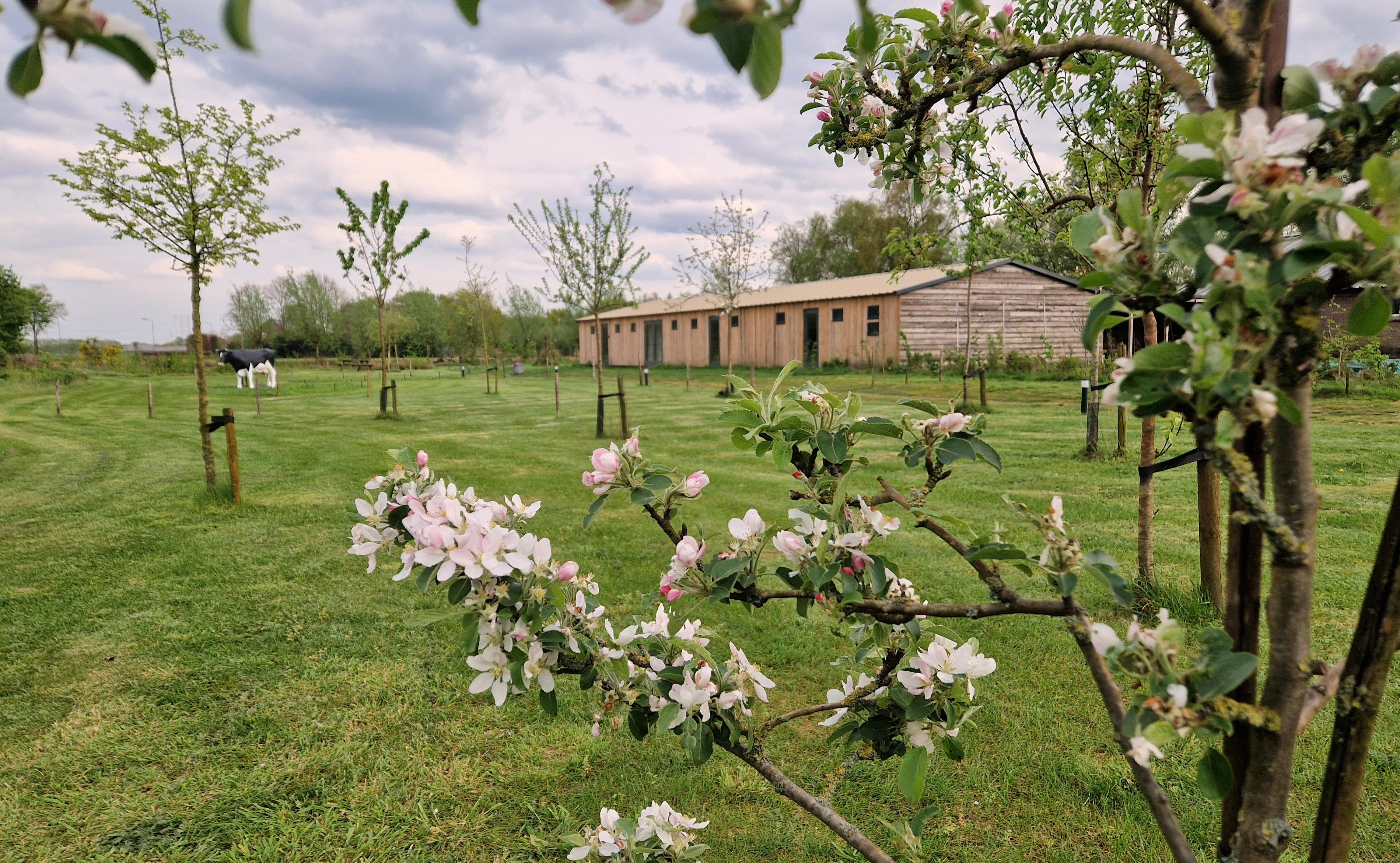 Nature house in Moergestel