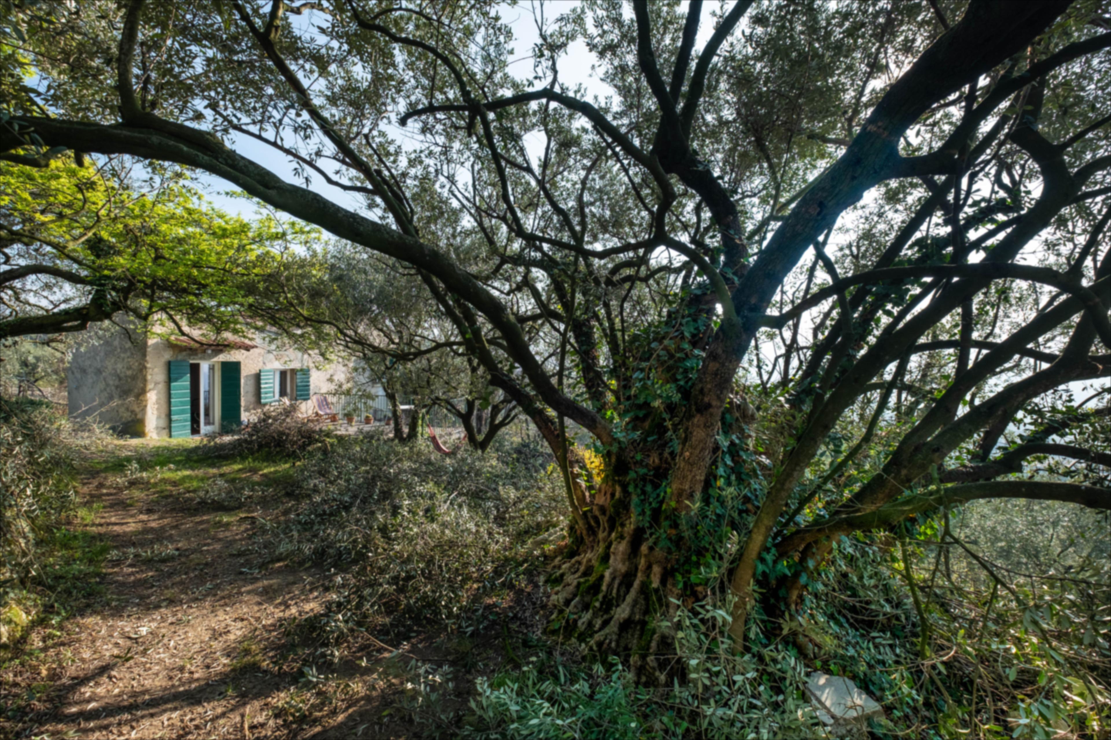Maison nature à negrar di valpolicella