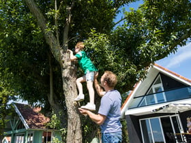 Casa nella natura a Dokkum