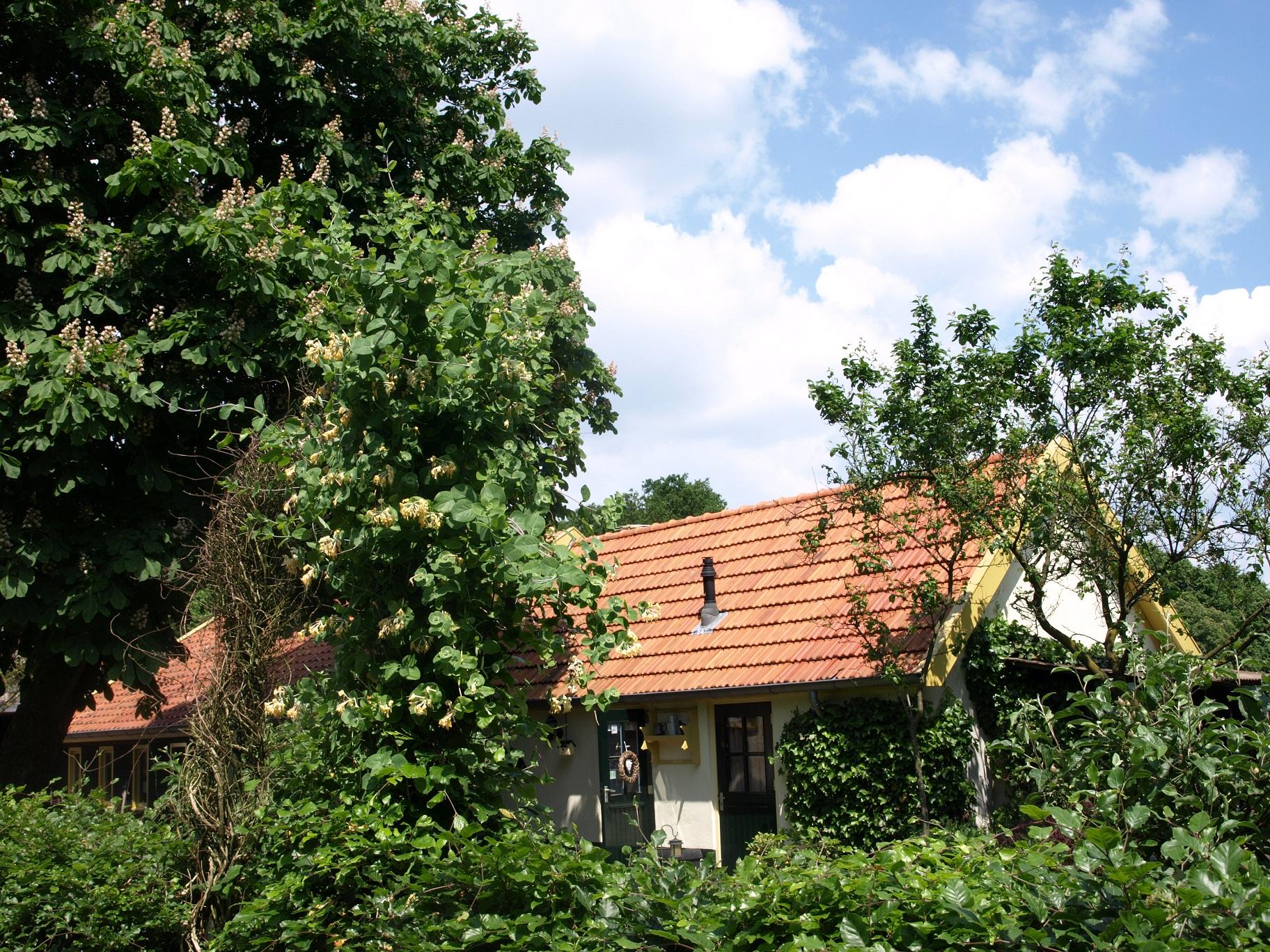 Nature house in Wezep
