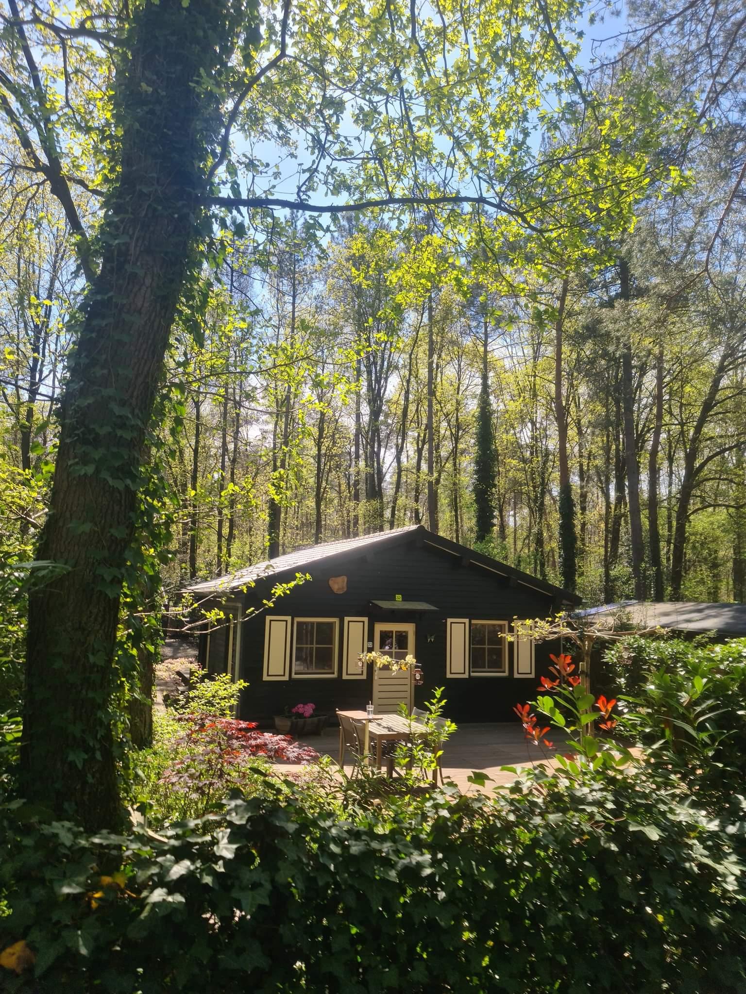 Nature house in Gellik