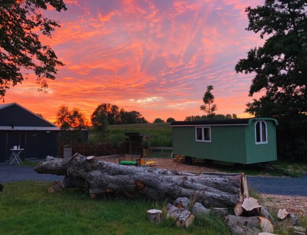 Natuurhuisje in Steenbergen