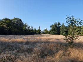 Nature house in Utrecht