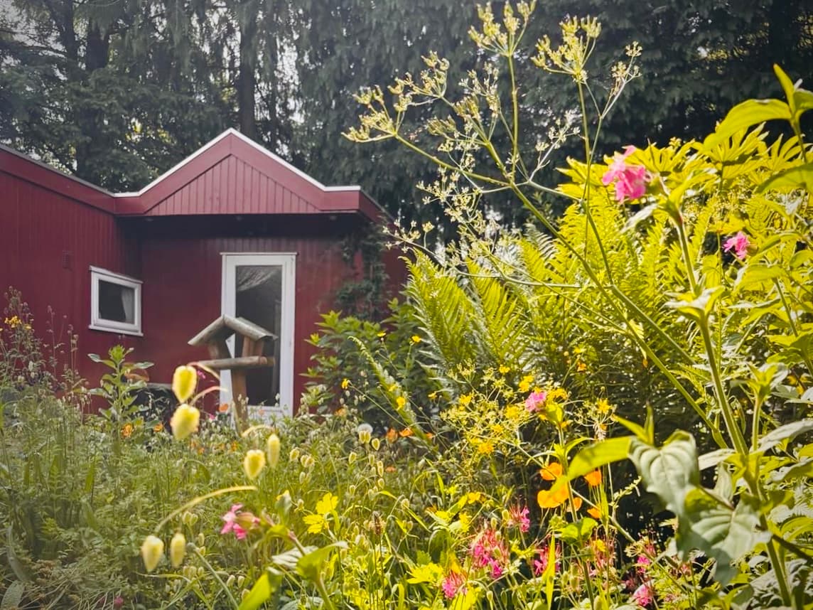Maison nature à Putten
