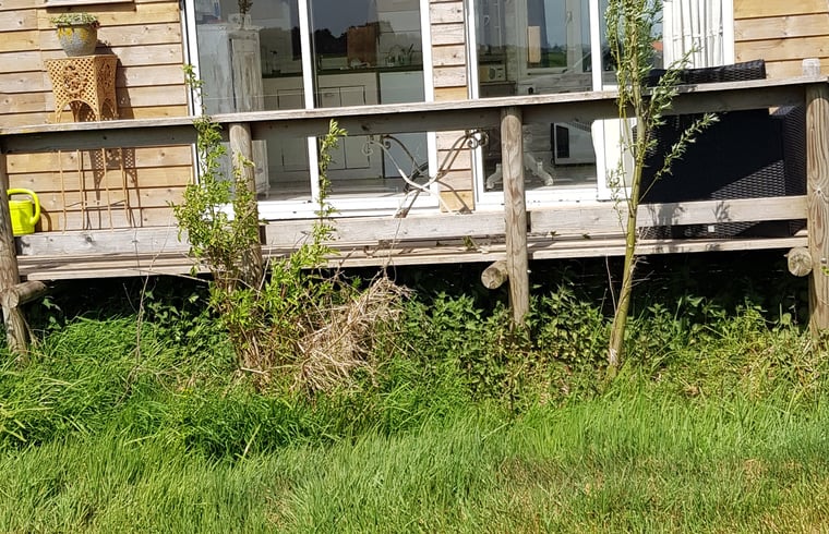 Natuurhuisje in Echtenerbrug