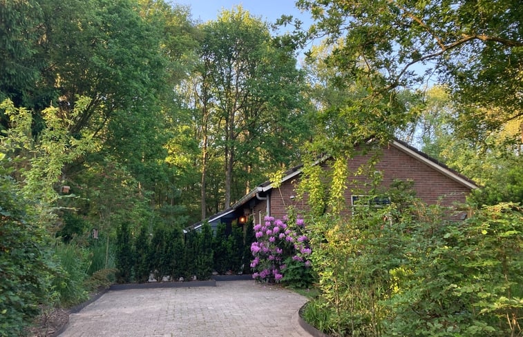 Casa naturaleza en Gasselte: 5