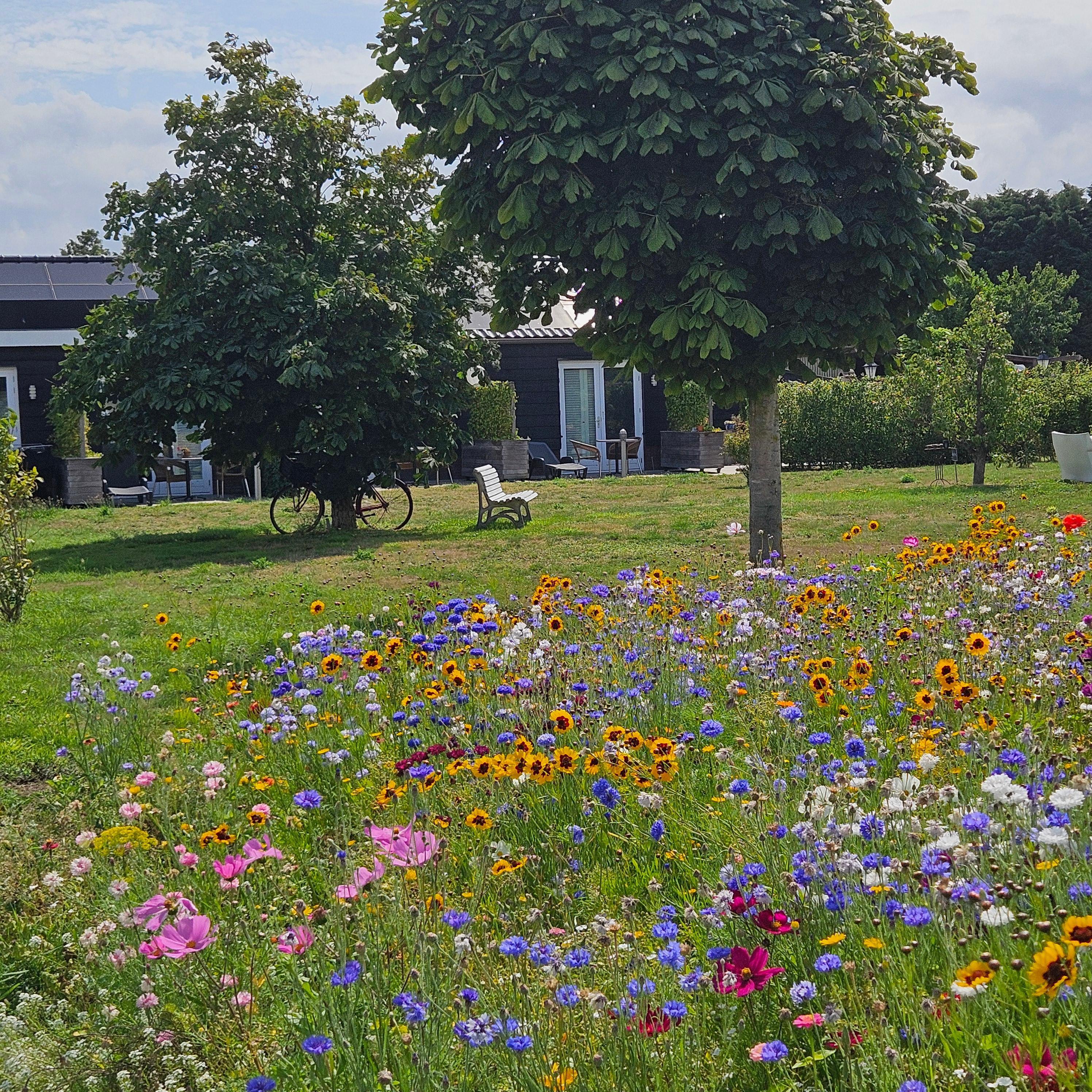 Nature house in Sommelsdijk