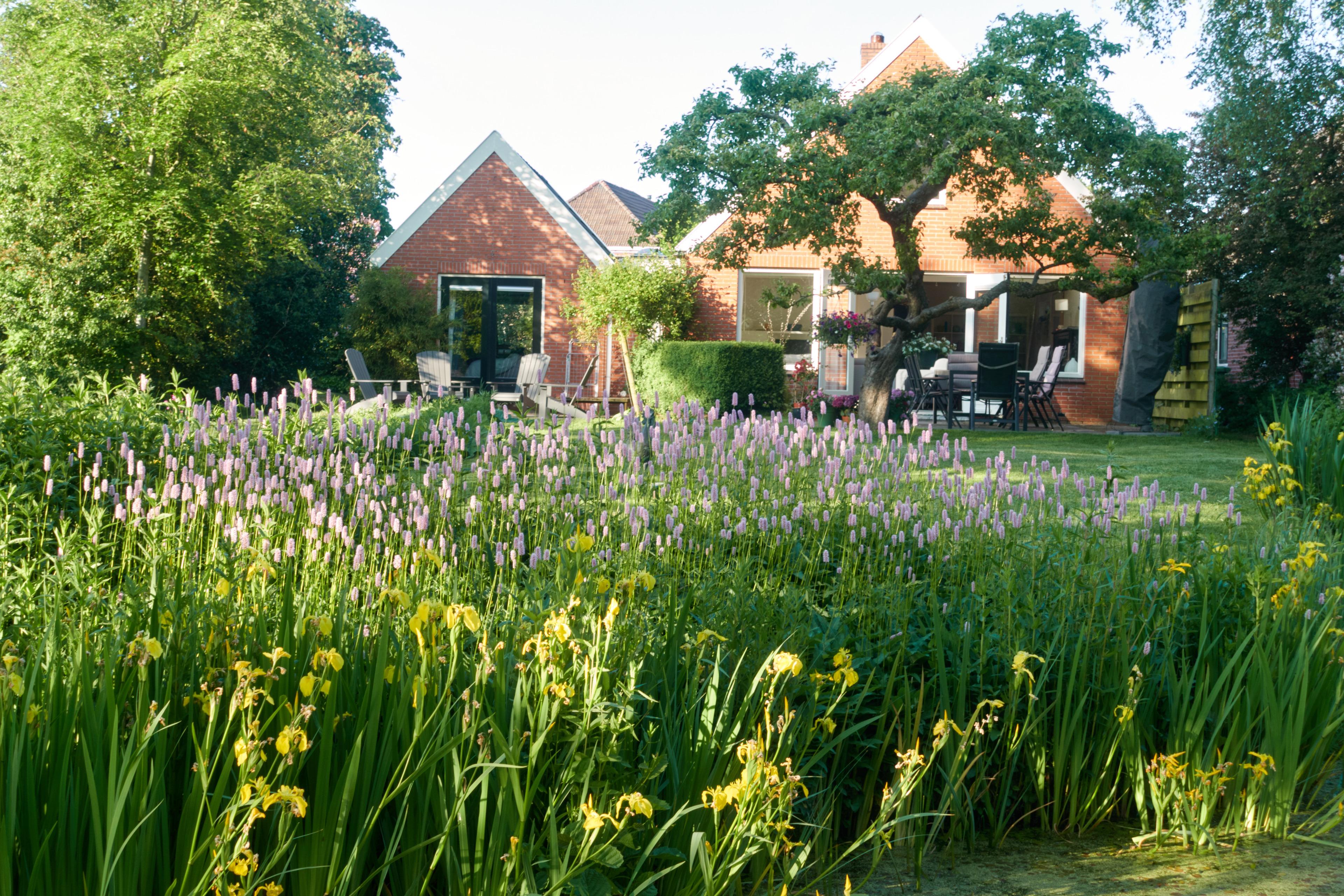 Maison nature à Grolloo