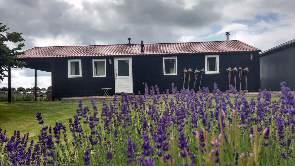 Natuurhuisje in Scheerwolde