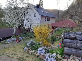 Maison nature à Schweigen-Rechtenbach