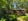 Nature house in Dalfsen