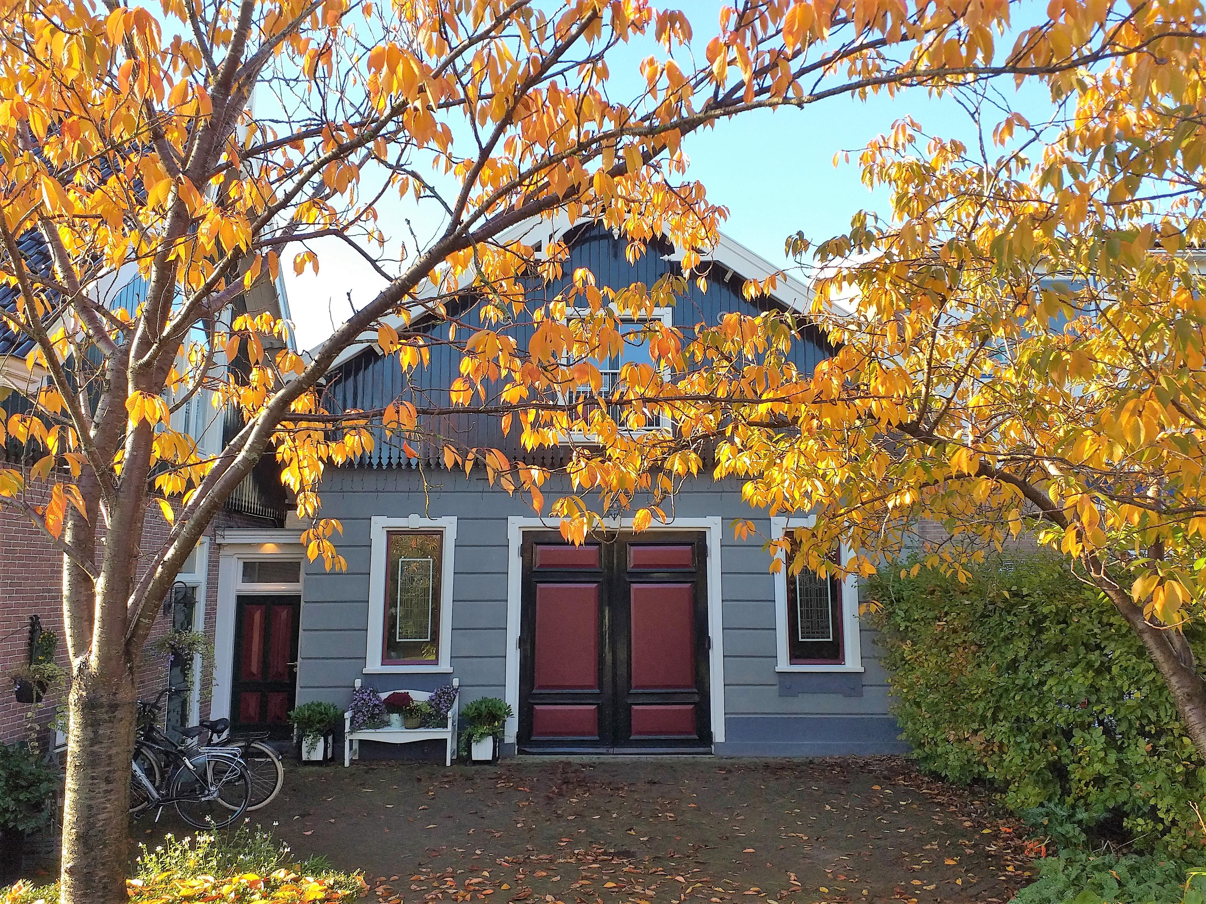 Nature house in Beets