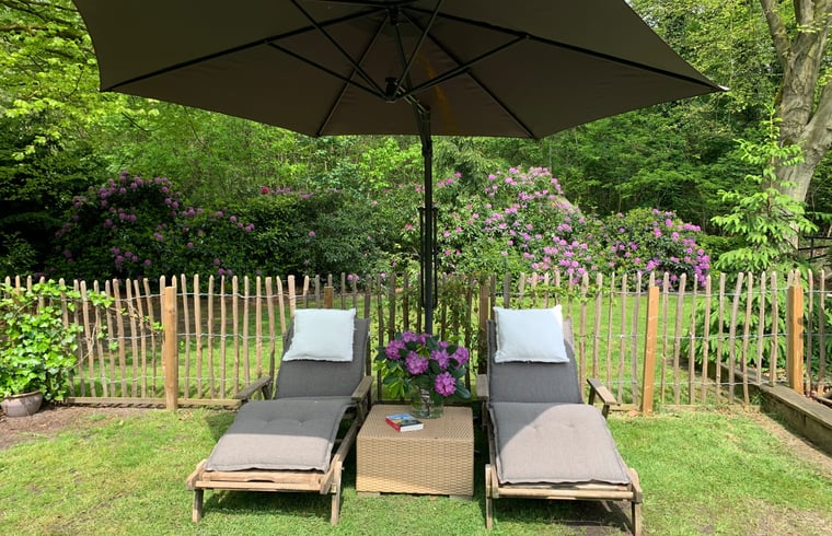 Landhuis in Ossendrecht — foto 3