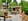 - image: 10
