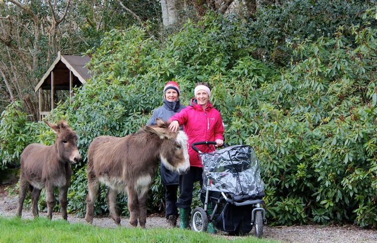 Boerderij in Killarney — foto 1