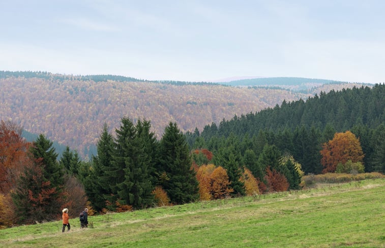 Naturhäuschen in Frauenwald: 31
