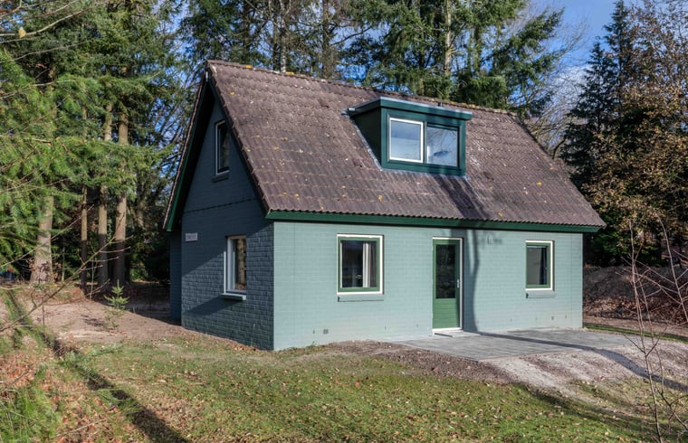 Vakantiehuis in Epe — foto 3