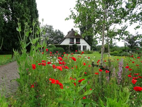 Maison nature à Hall