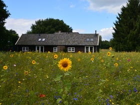 Natuurhuisje in Varssel - Hengelo Gld