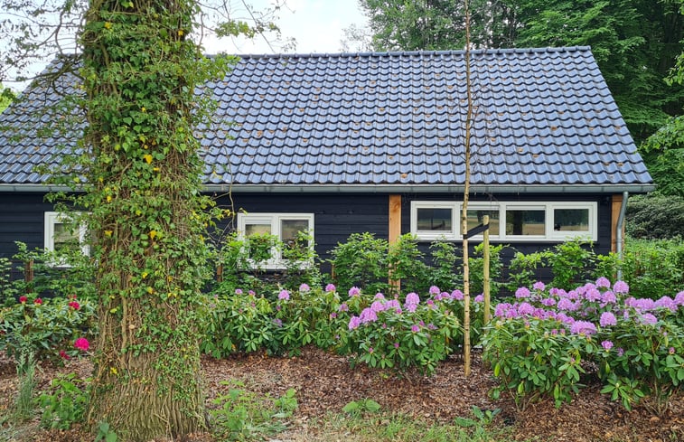 Nature house in Vorden: 20