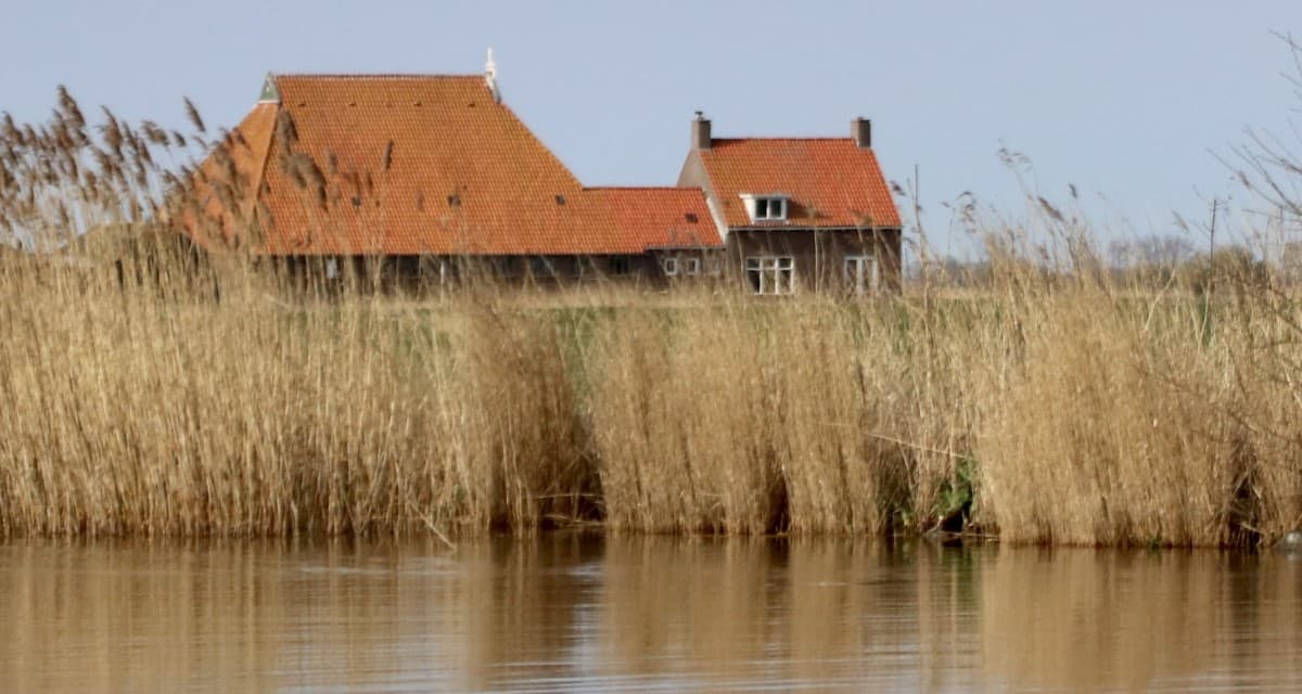 Maison nature à Sloten