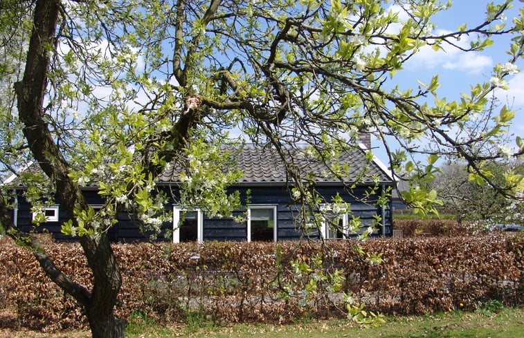 Maison nature à Culemborg: 1