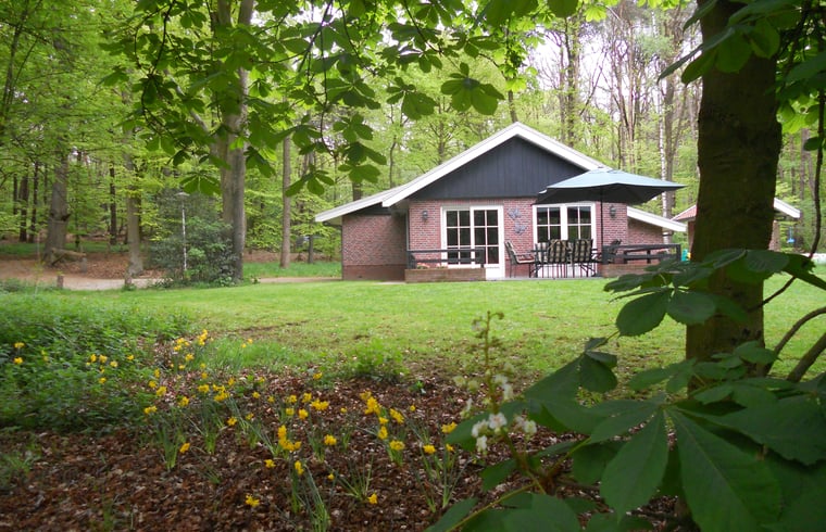 Vakantiehuis in Vasse — foto 3