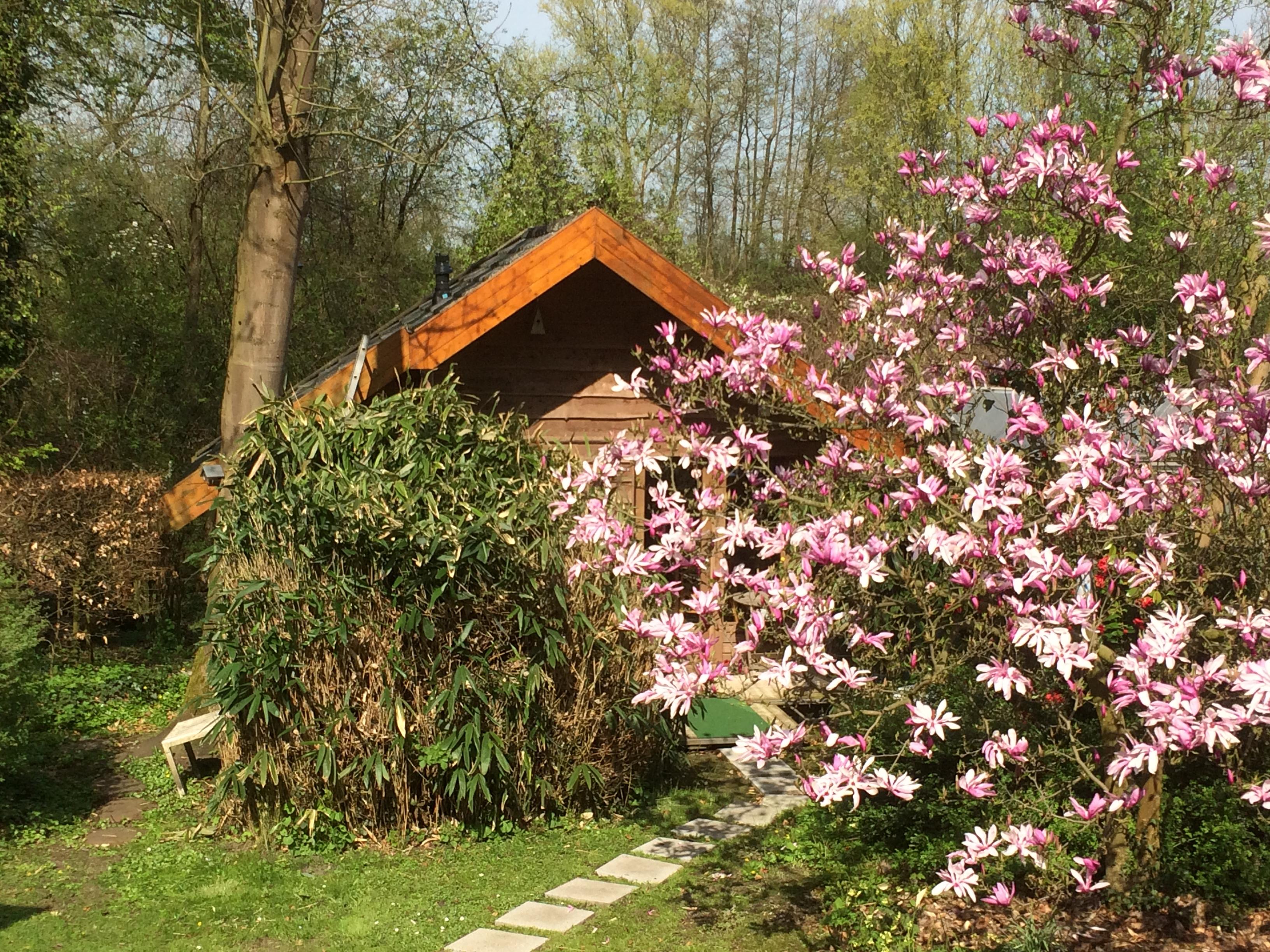 Maison nature à Ubbergen