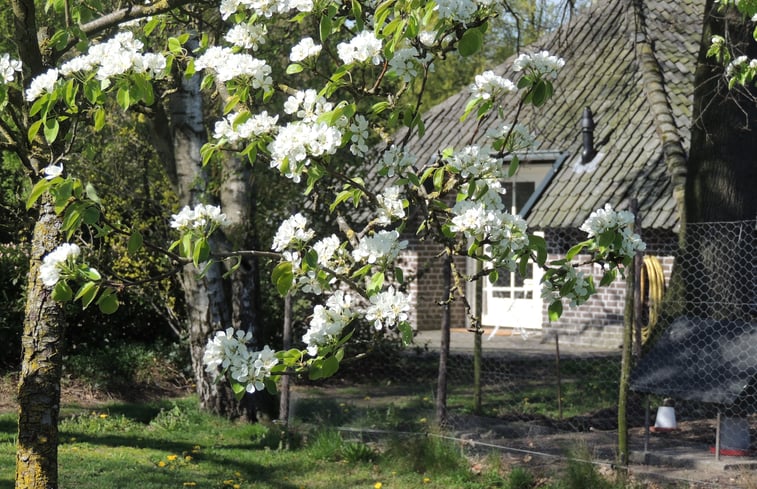 Natuurhuisje in Asten