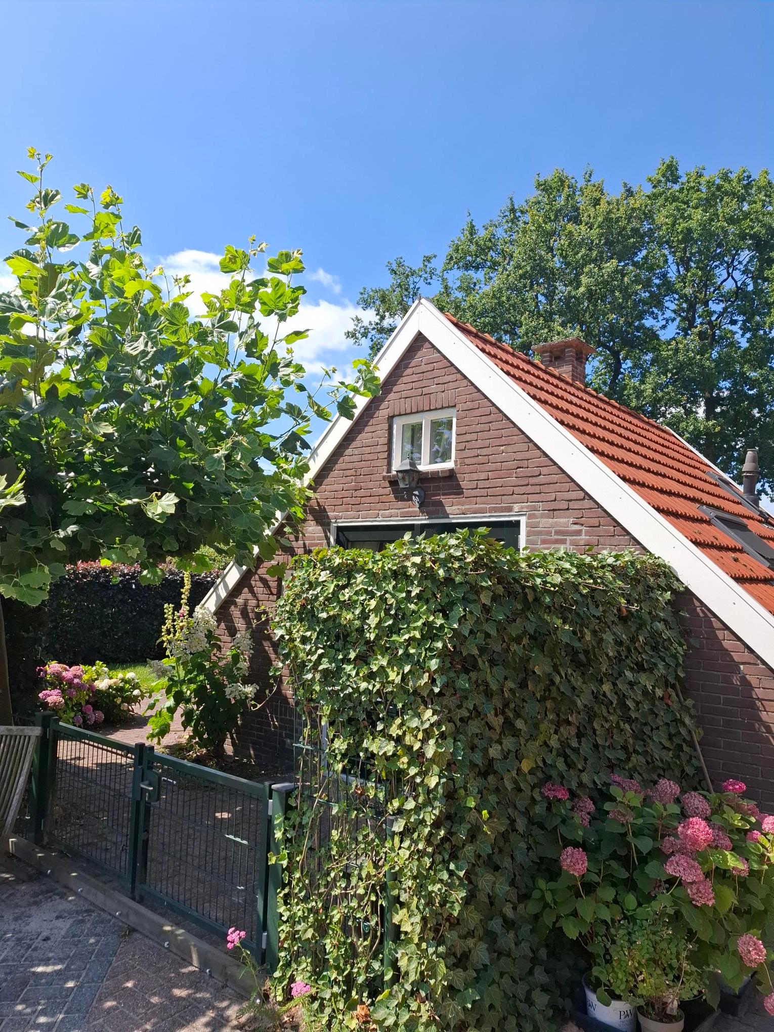 Nature house in Smilde