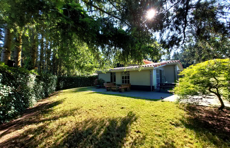 Vakantiehuis in Ermelo — foto 1