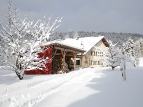 Natuurhuisje in Remiremont