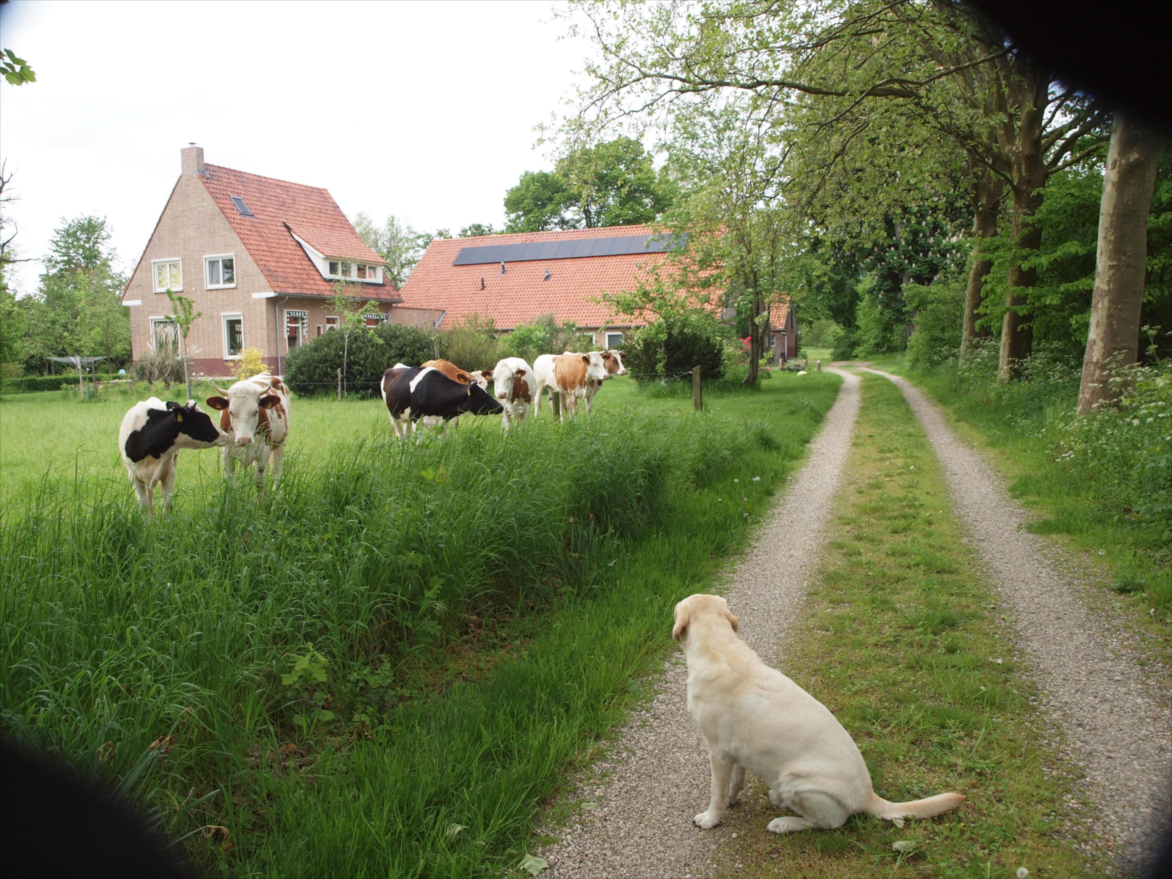 Maison nature à Breedenbroek