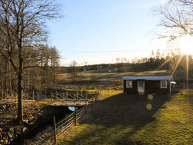 Natuurhuisje in Savsjo