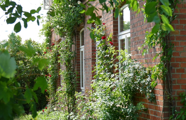 Natuurhuisje in Rehna, Neu Vitense