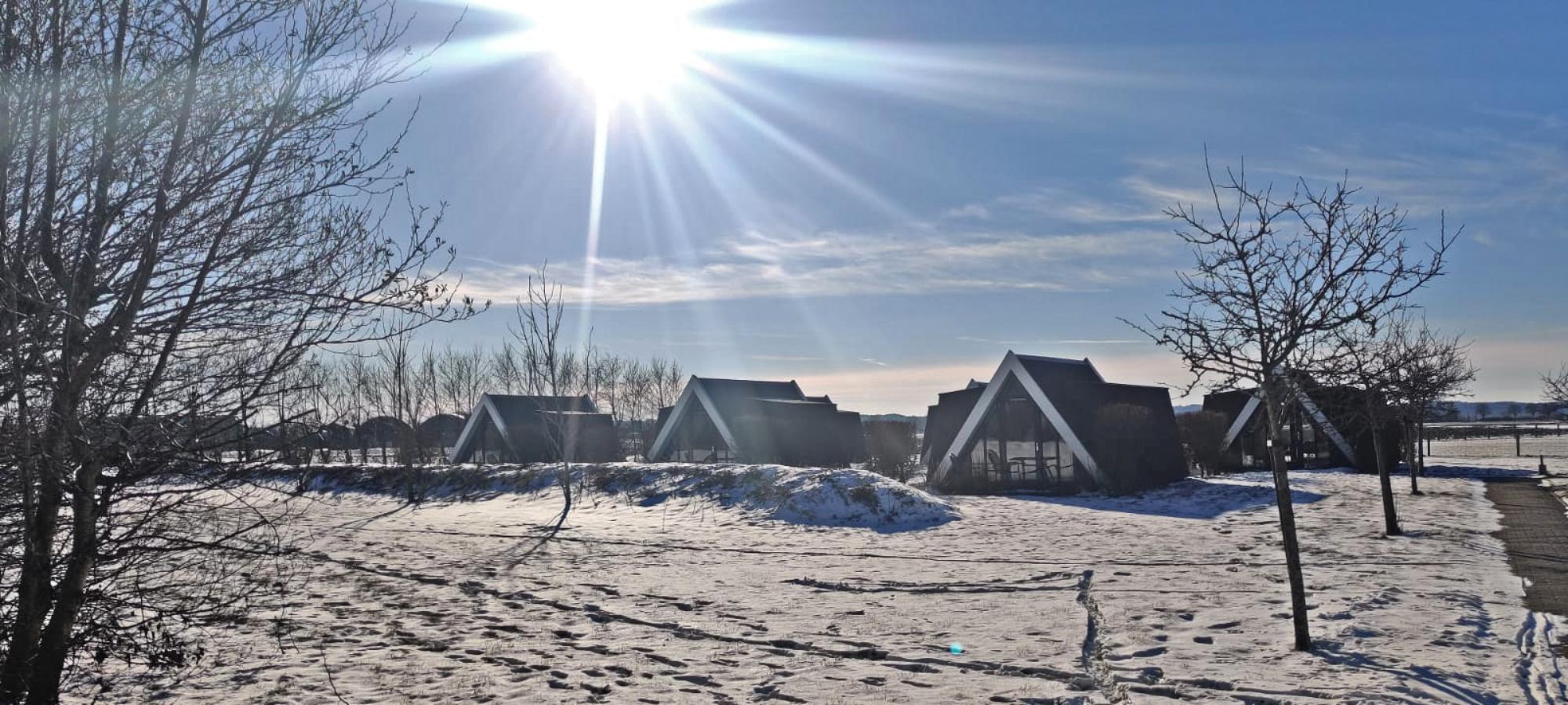 Natuurhuisje in Warmenhuizen