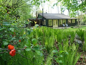 Casa nella natura a Zuidwolde