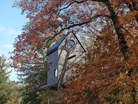 Nature house in Arnhem