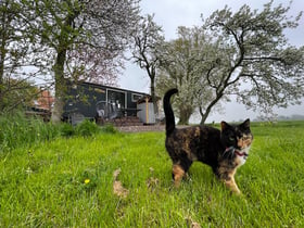 Maison nature dans Grootschermer