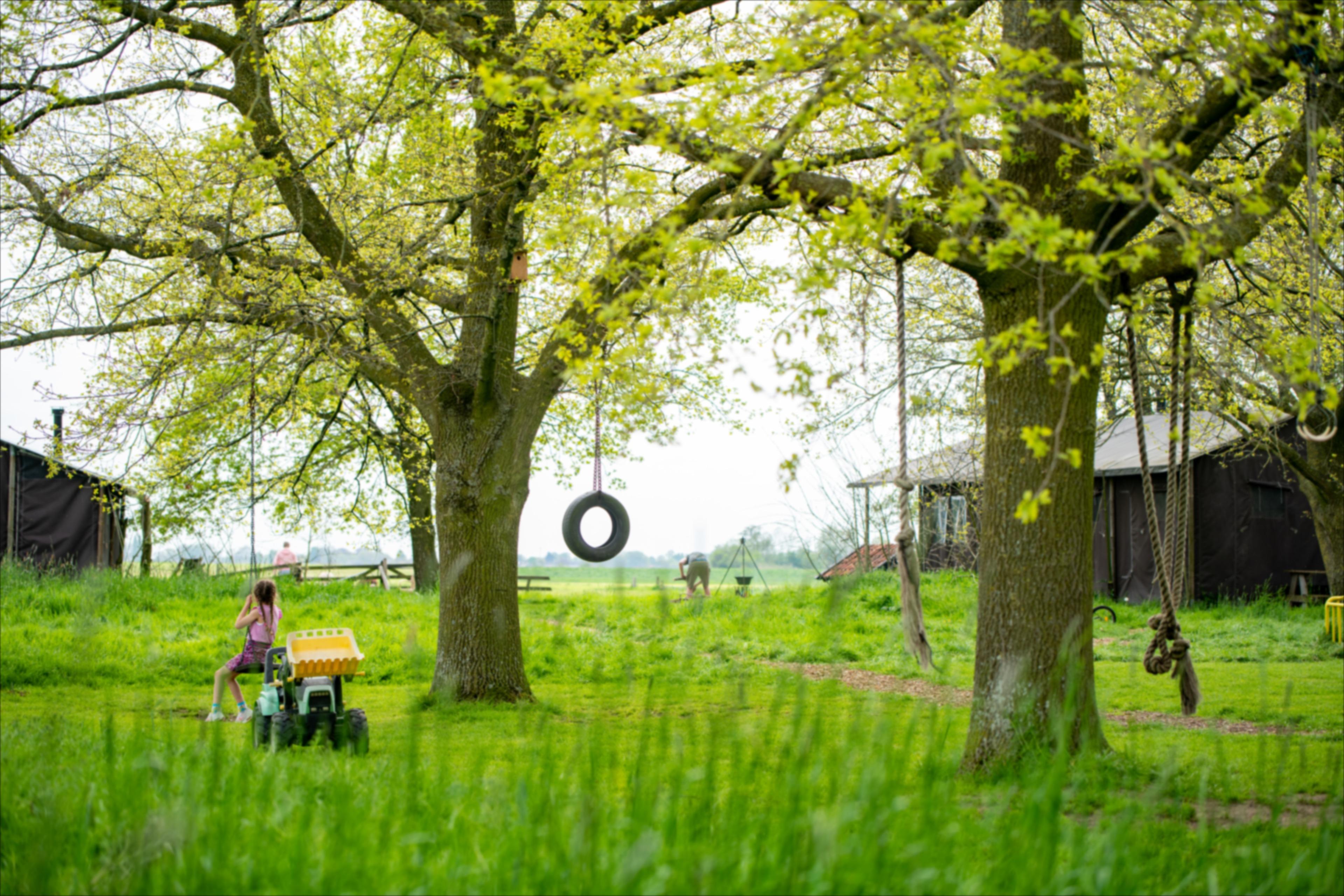 Natuurhuisje in Aarlanderveen