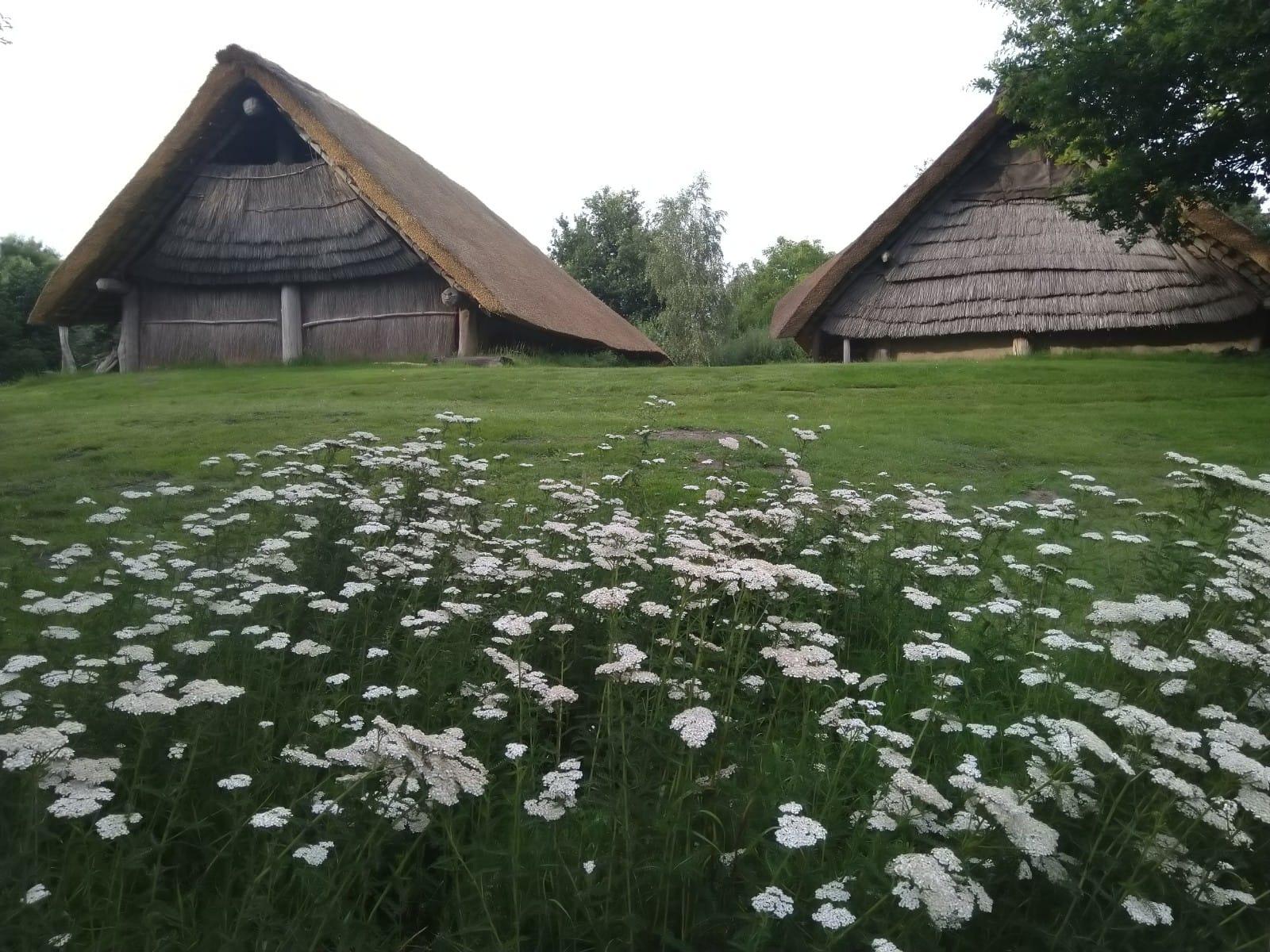 Maison nature à Lelystad