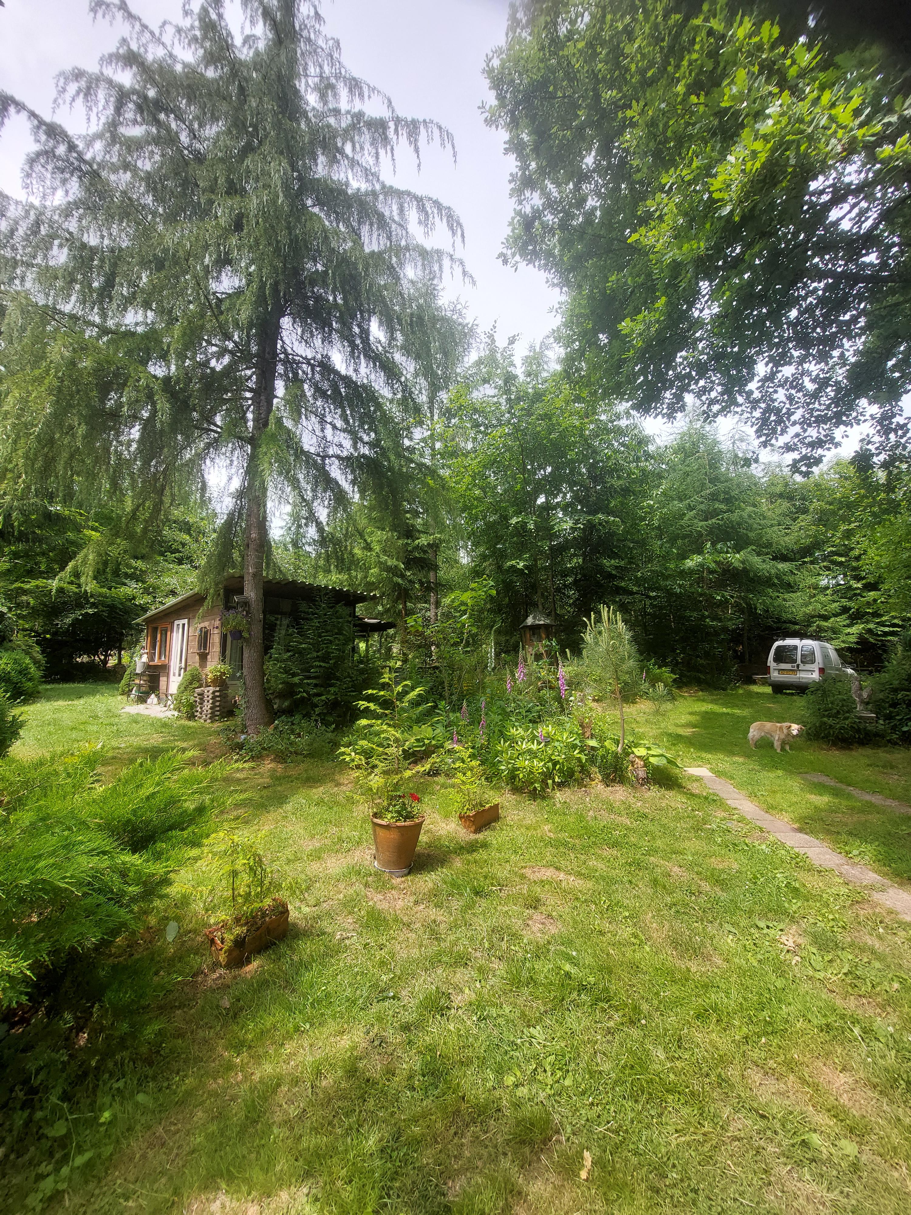 Nature house in La Roche en ardenne