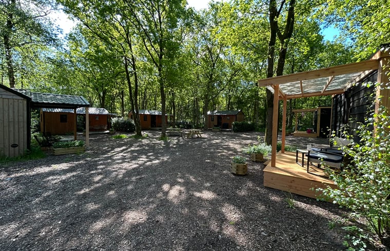 Natuurhuisje in Zuidwolde