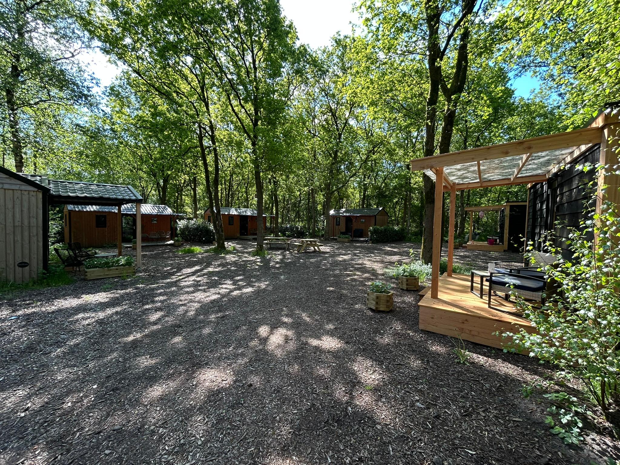 Maison nature à Zuidwolde